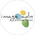 Image Adn Avatar